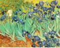 Irises 2 Vincent van Gogh Impressionism Flowers